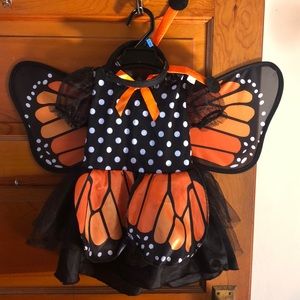 Little Girls Butterfly Halloween Costume